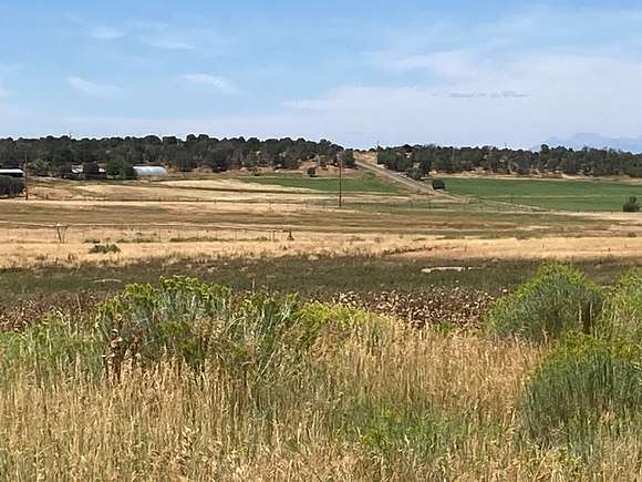 80 Acres of Recreational Land & Farm for Sale in Norwood, Colorado