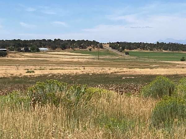 80 Acres of Land for Sale in Norwood, Colorado