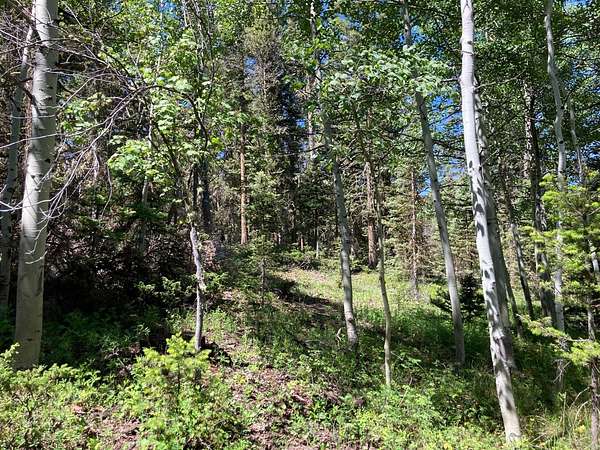 1 Acre of Land for Sale in Cimarron, Colorado