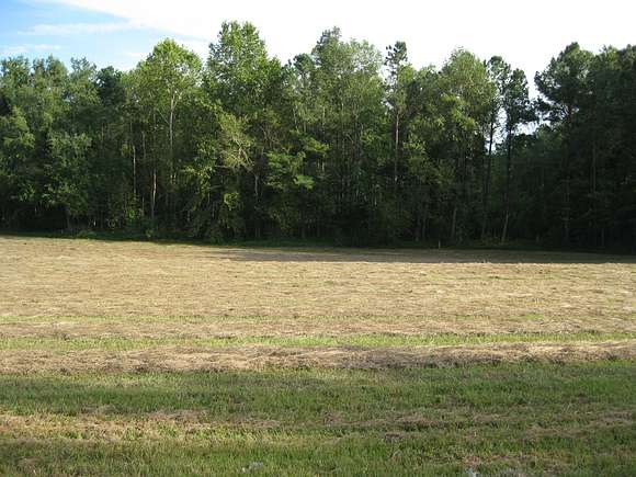 3.1 Acres of Land for Sale in Middlesex, North Carolina