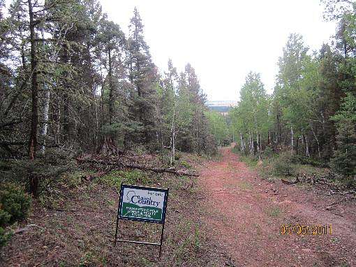 1 Acre of Residential Land for Sale in Eagle Nest, New Mexico