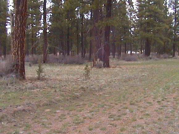 2.3 Acres of Recreational Land for Sale in Bonanza, Oregon