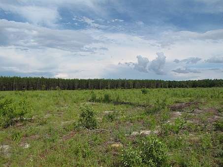 40.1 Acres of Land for Sale in Lee, Florida