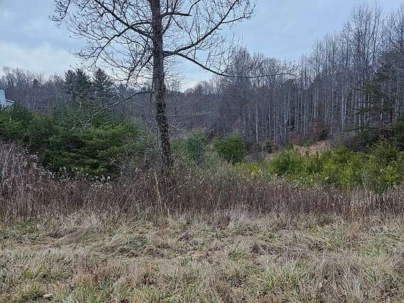 0.77 Acres of Residential Land for Sale in Austinville, Virginia