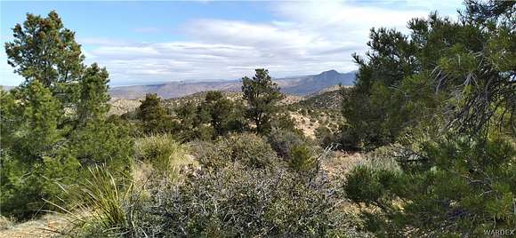 11 Acres of Land for Sale in Hackberry, Arizona