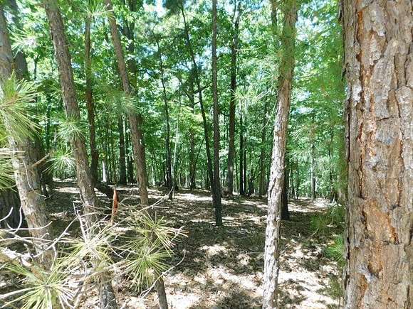 3.7 Acres of Land for Sale in Grove, Oklahoma