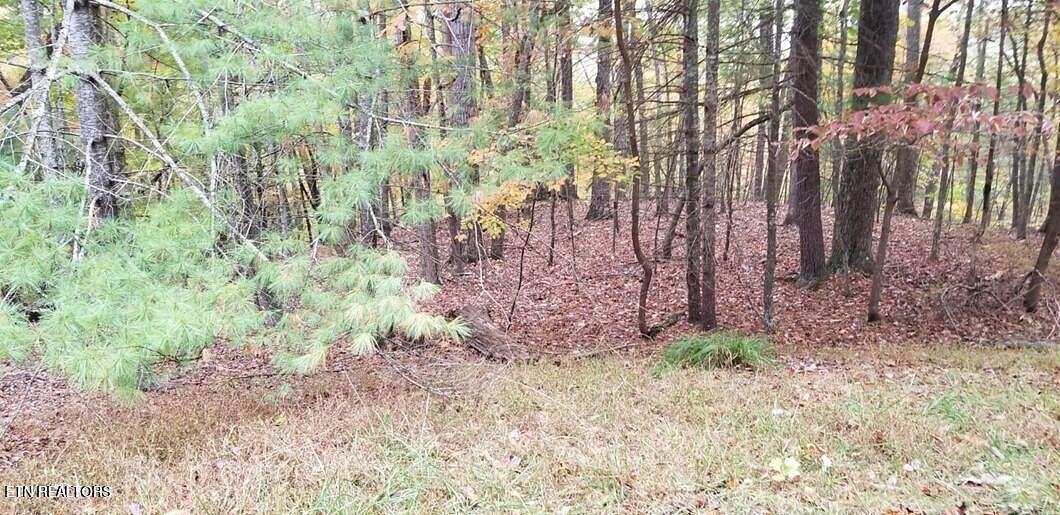 1.1 Acres of Residential Land for Sale in Fairfield Glade, Tennessee