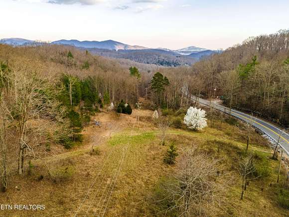 12.3 Acres of Land for Sale in Lancing, Tennessee