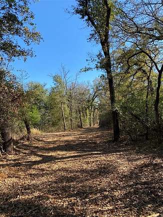 24.1 Acres of Land for Sale in Buffalo, Texas
