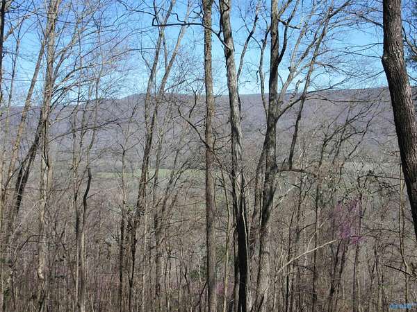 84 Acres of Recreational Land for Sale in Paint Rock, Alabama