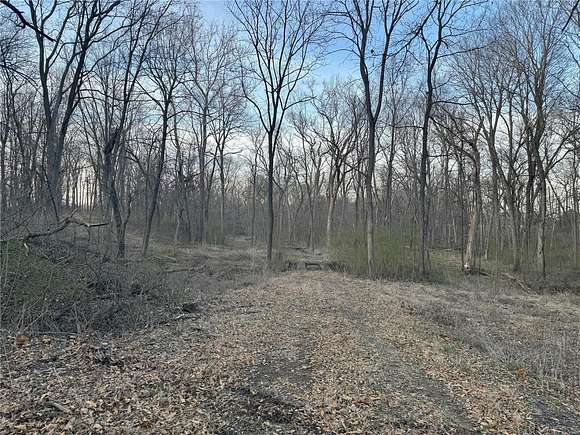 15.1 Acres of Land for Sale in Pana, Illinois