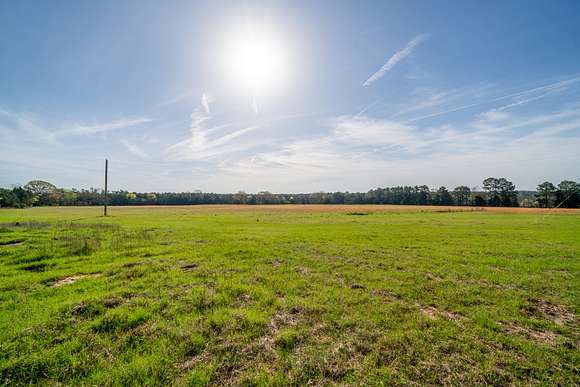 30.9 Acres of Land for Sale in Jefferson, Texas