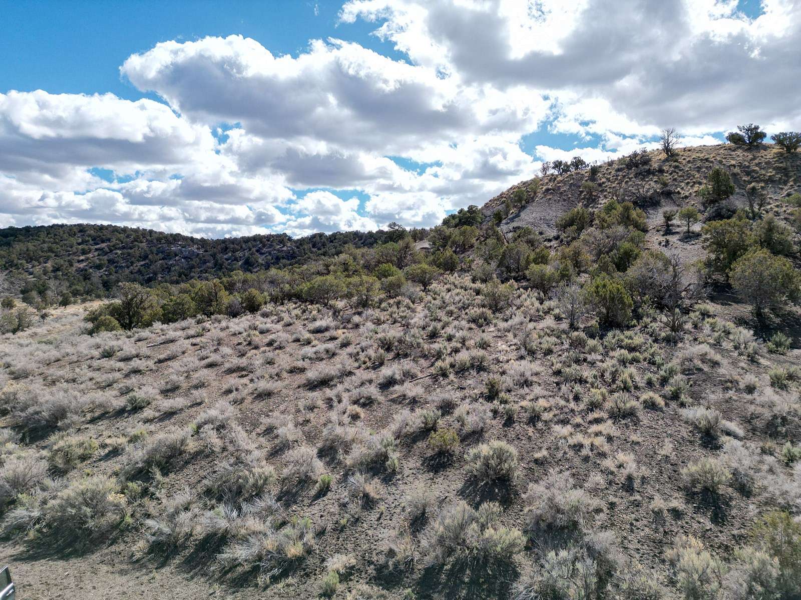 107 Acres of Land for Sale in Mancos, Colorado