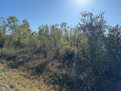 7 Acres of Land for Sale in Lake City, Florida