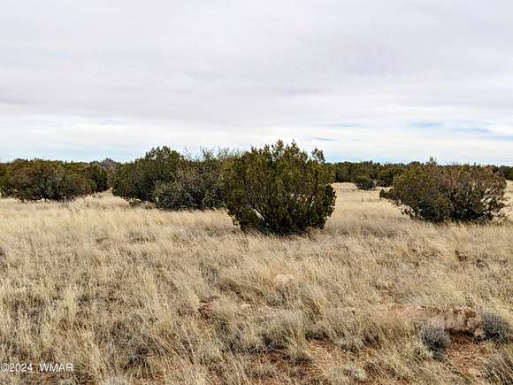 5 Acres of Residential Land for Sale in Heber, Arizona