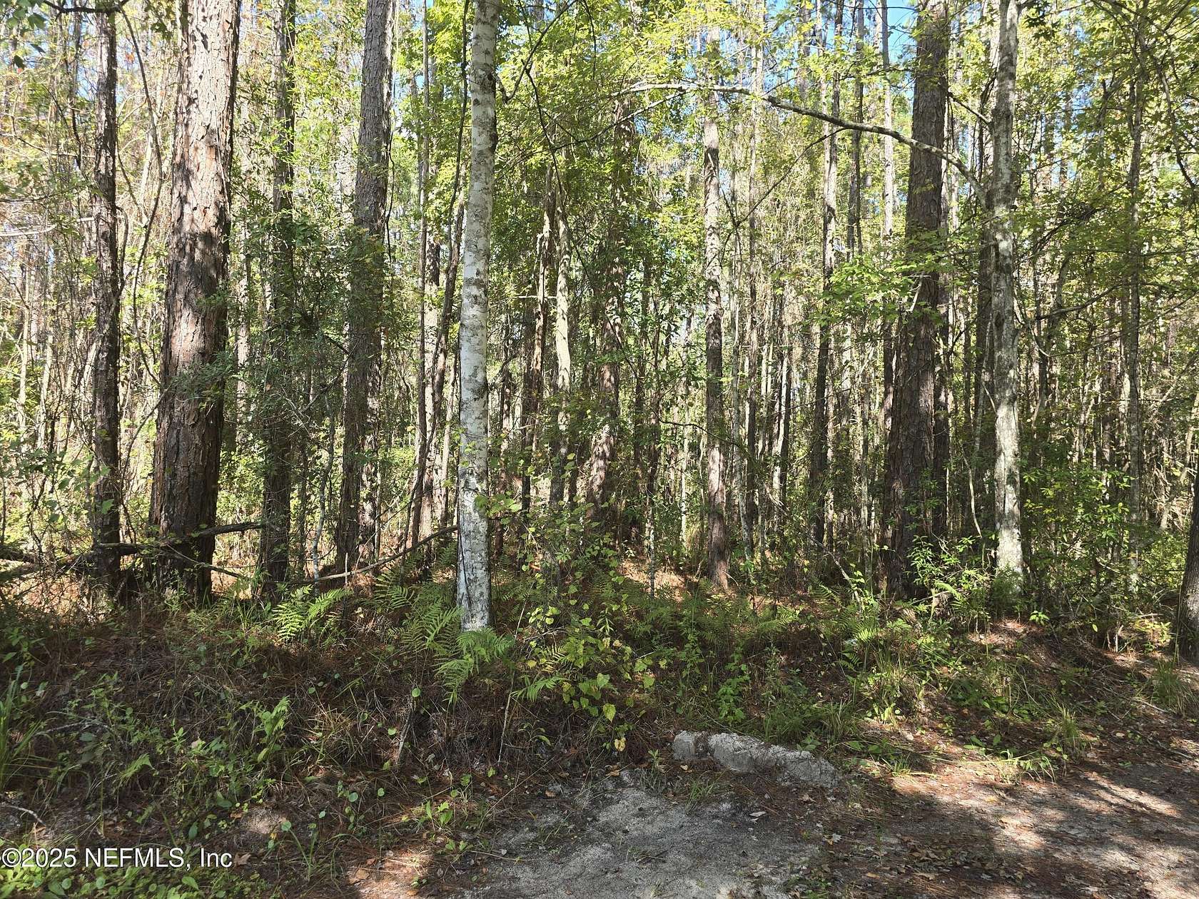 1.44 Acres of Land for Sale in Jacksonville, Florida