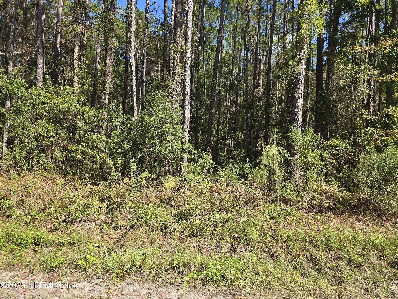 1.44 Acres of Residential Land for Sale in Jacksonville, Florida