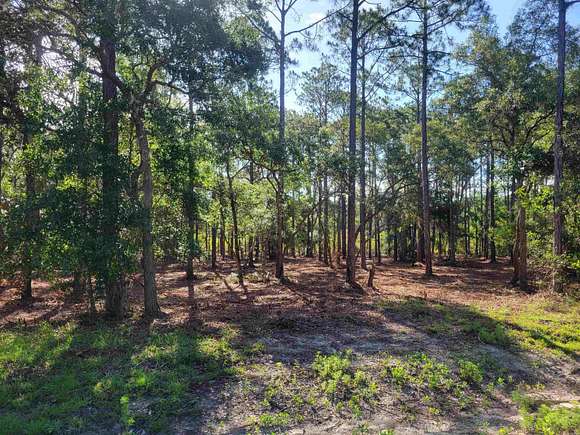 1 Acre of Residential Land for Sale in Panacea, Florida