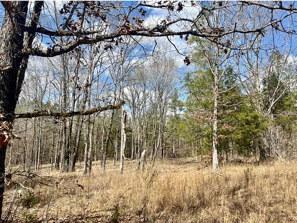 22.5 Acres of Land for Sale in Oxford, Mississippi