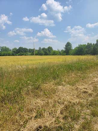 46 Acres of Agricultural Land for Sale in Paw Paw, Michigan