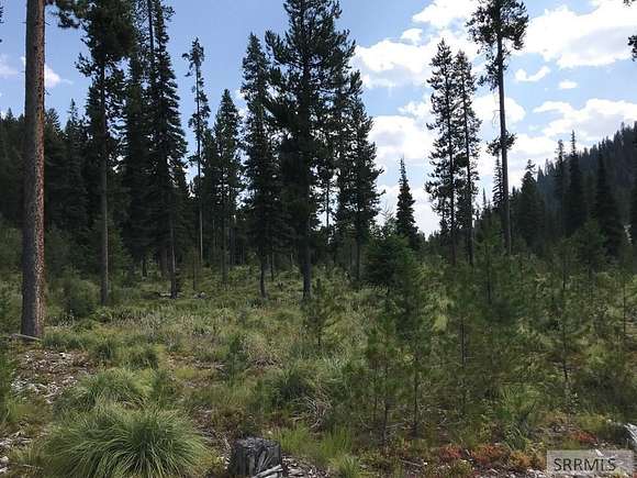 4.6 Acres of Residential Land for Sale in Gibbonsville, Idaho