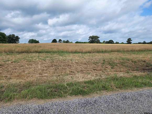 2.6 Acres of Residential Land for Sale in Pittsburg, Texas