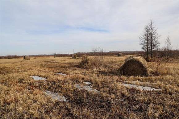 40 Acres of Recreational Land & Farm for Sale in Palisade, Minnesota