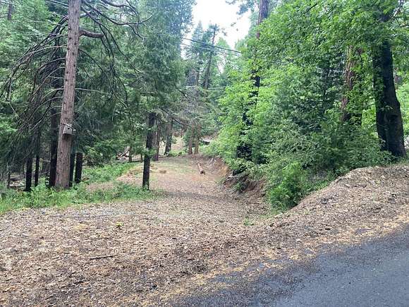 0.24 Acres of Residential Land for Sale in Arnold, California