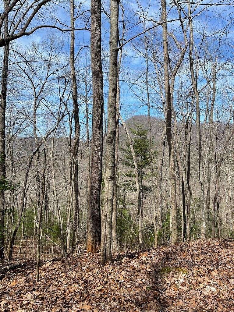 7.7 Acres of Residential Land for Sale in Hiawassee, Georgia