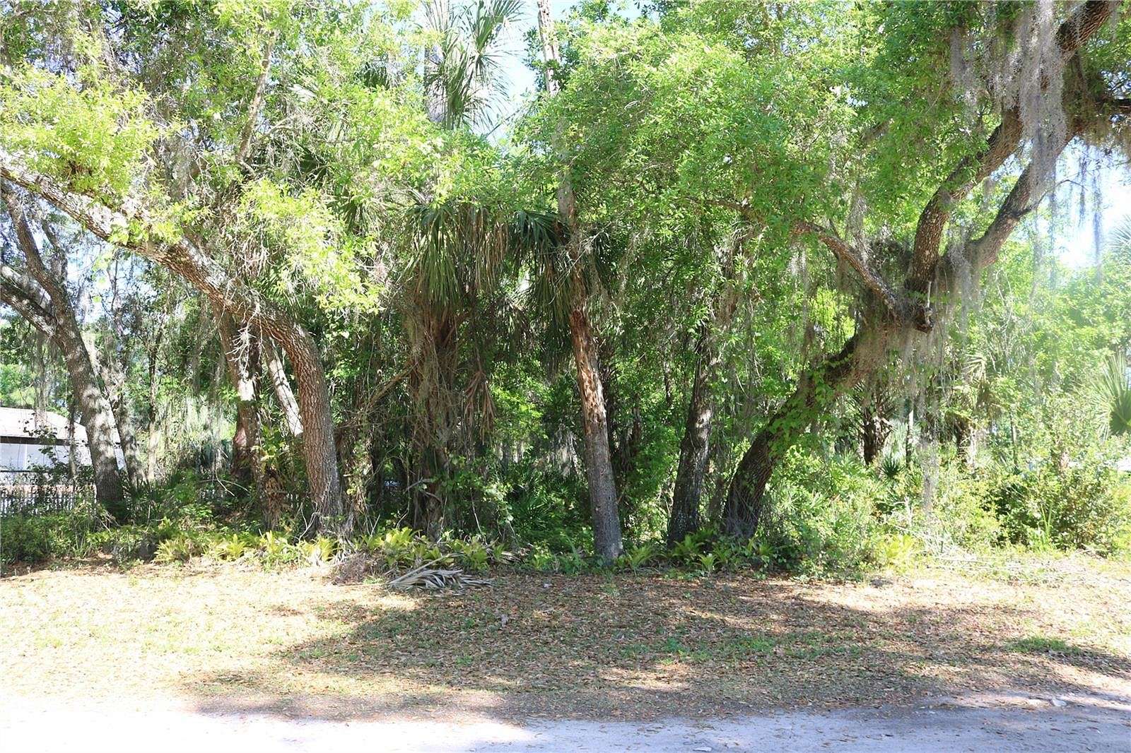 0.19 Acres of Residential Land for Sale in Lake Wales, Florida