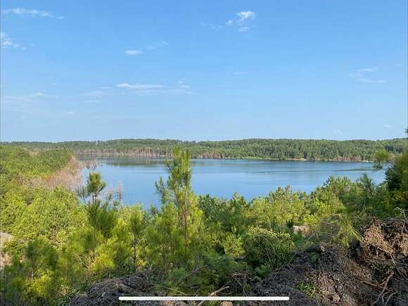 275 Acres of Land for Sale in York, Alabama