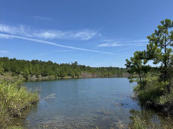 275 Acres of Recreational Land for Sale in York, Alabama