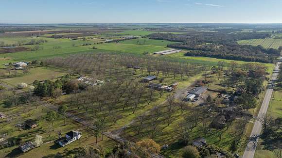 40 Acres of Agricultural Land for Auction in Montezuma, Georgia
