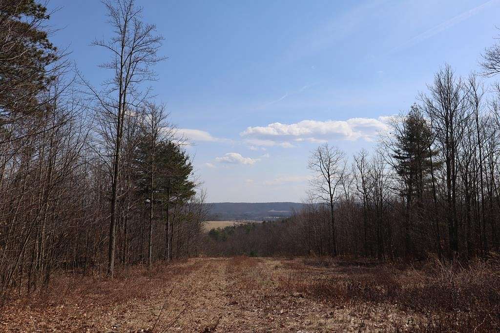 164 Acres of Land for Sale in Sayre, Pennsylvania