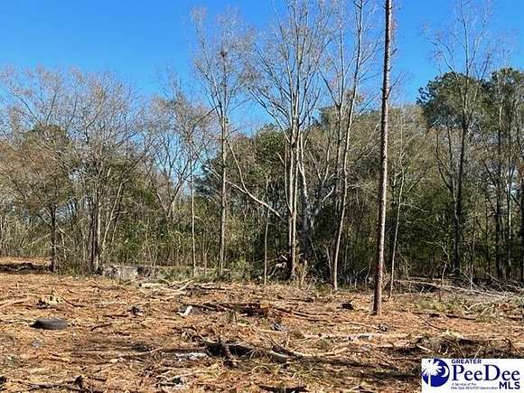 1.2 Acres of Commercial Land for Sale in Timmonsville, South Carolina
