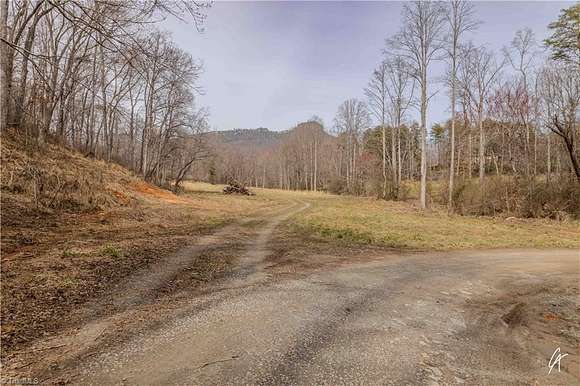 10.9 Acres of Land for Sale in Pinnacle, North Carolina