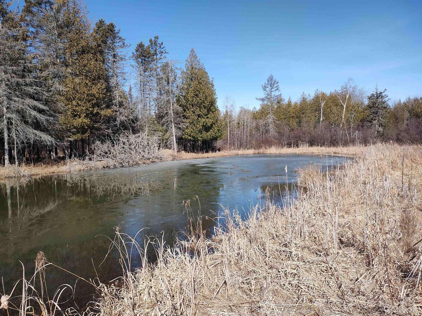60 Acres of Land for Sale in Rock, Michigan