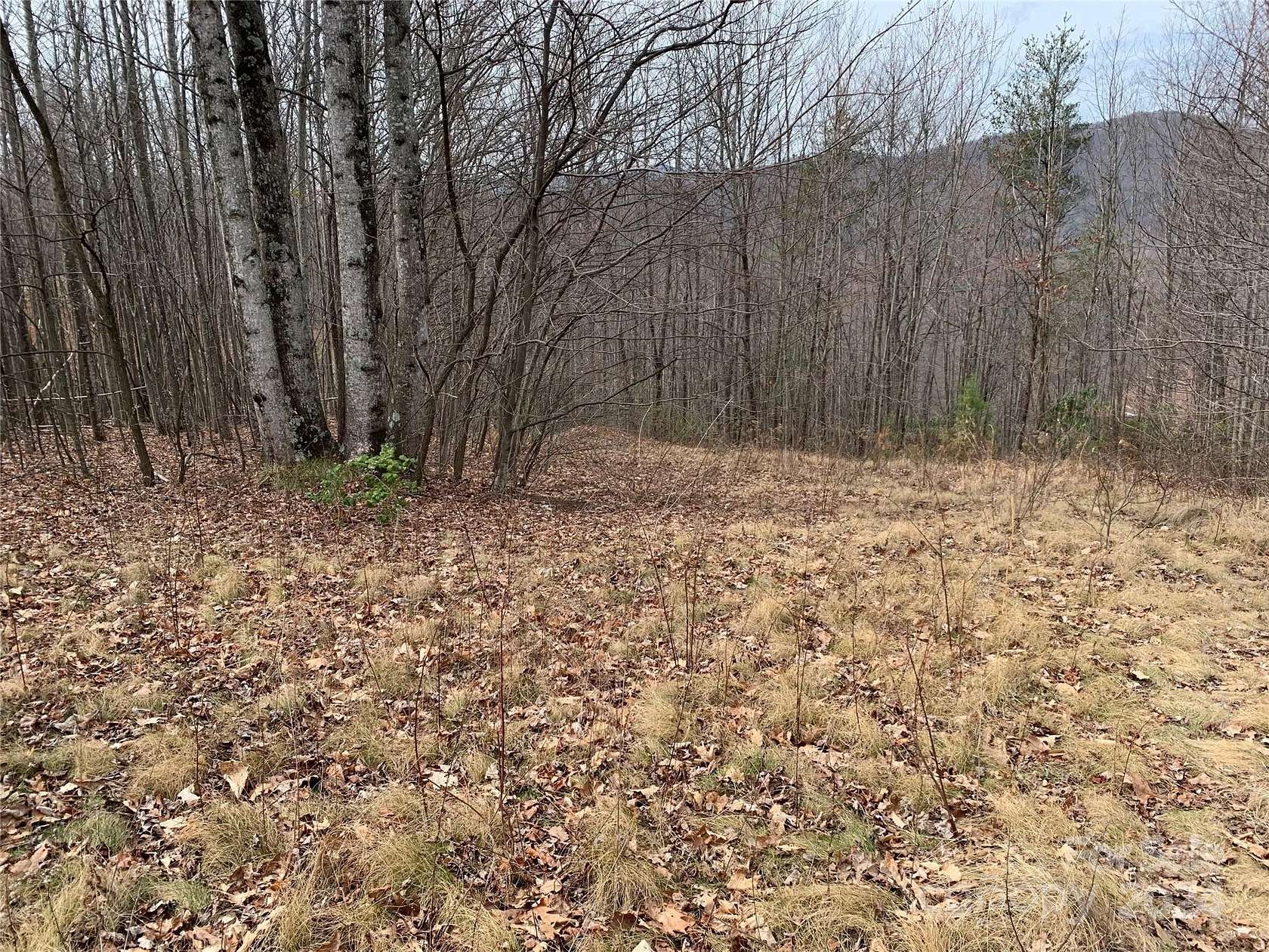 2 Acres of Land for Sale in Black Mountain, North Carolina