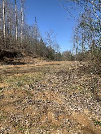 12 Acres of Land for Sale in Manchester, Kentucky
