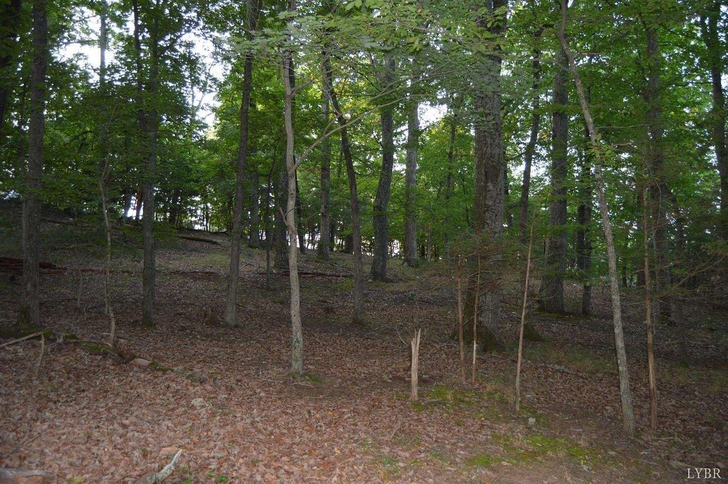 2.3 Acres of Residential Land for Sale in Goode, Virginia