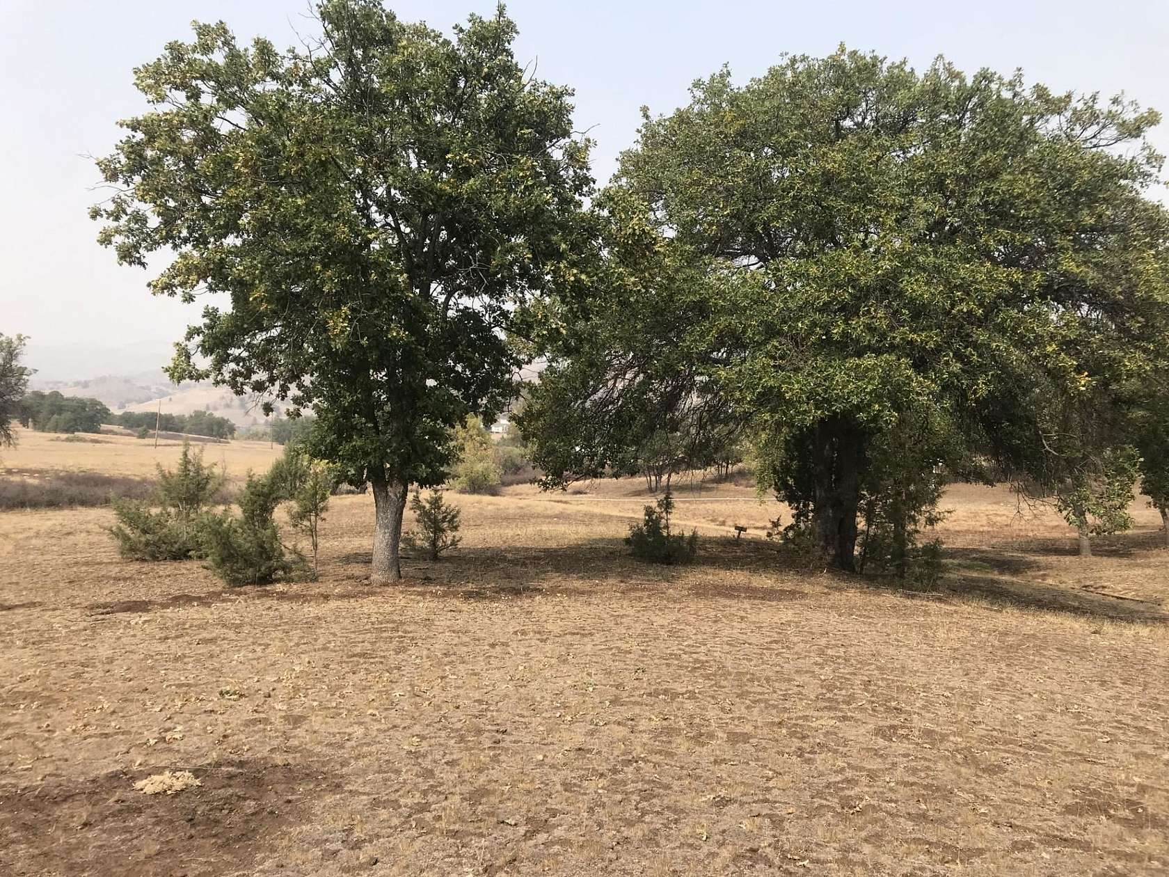 1.16 Acres of Residential Land for Sale in Hornbrook, California