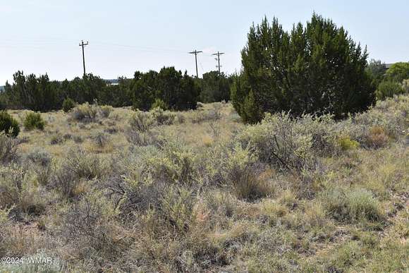 0.33 Acres of Residential Land for Sale in Concho, Arizona