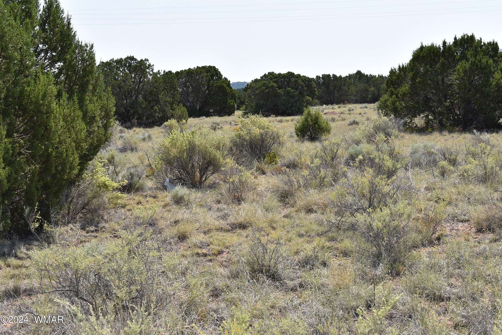 0.34 Acres of Residential Land for Sale in Concho, Arizona