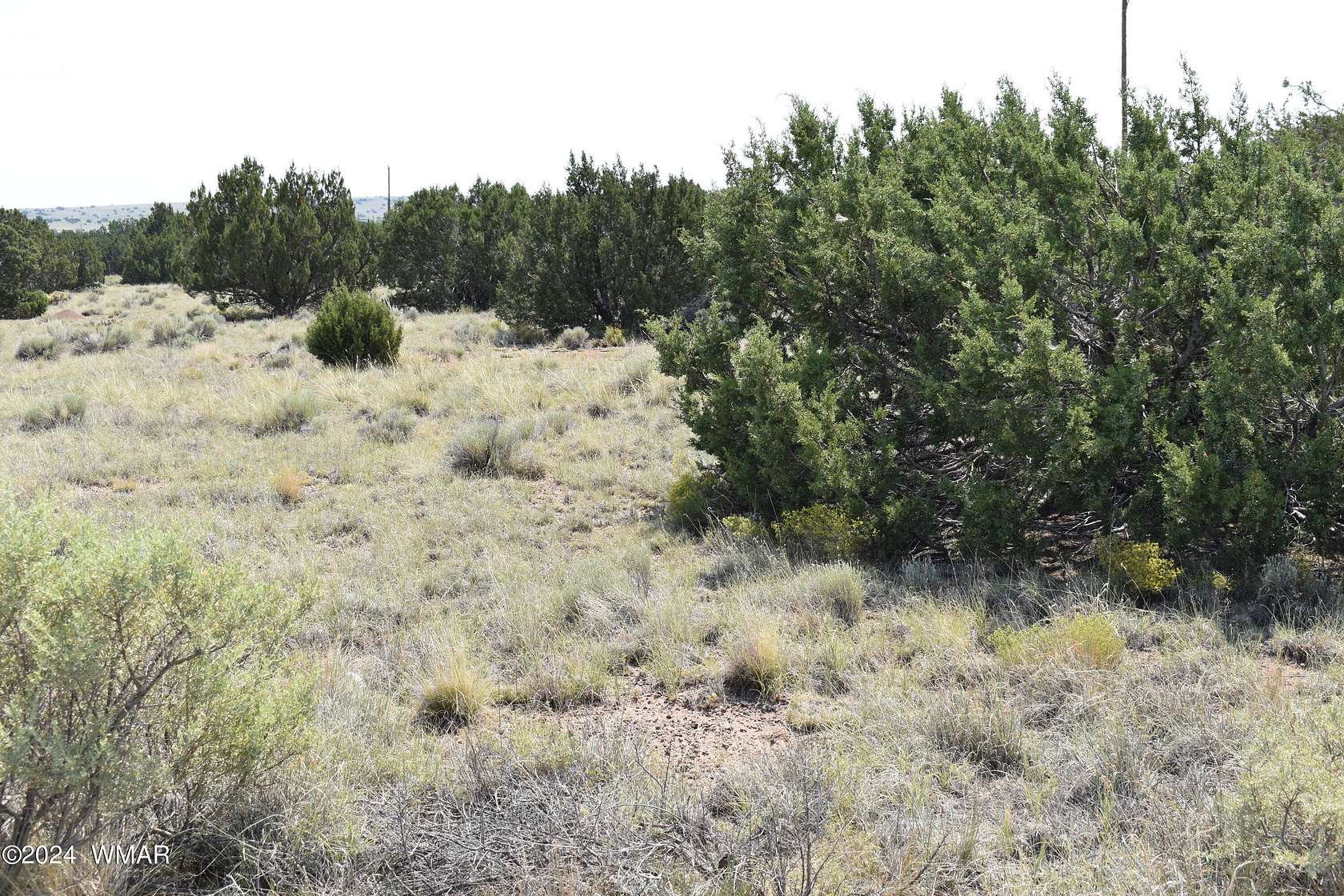 0.42 Acres of Residential Land for Sale in Concho, Arizona