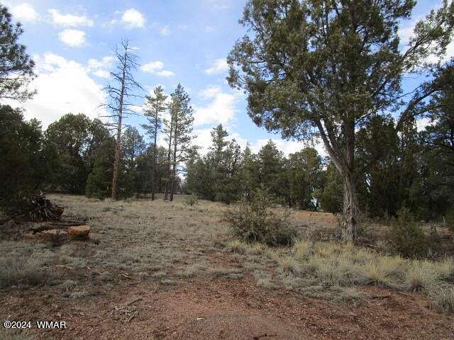 1 Acre of Residential Land for Sale in Show Low, Arizona