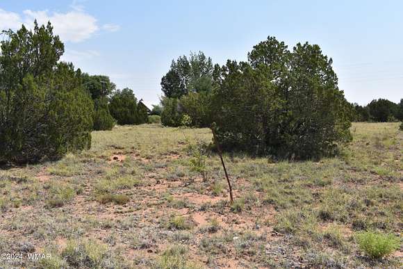 0.34 Acres of Residential Land for Sale in Concho, Arizona