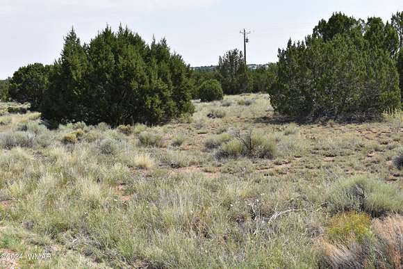 0.34 Acres of Residential Land for Sale in Concho, Arizona