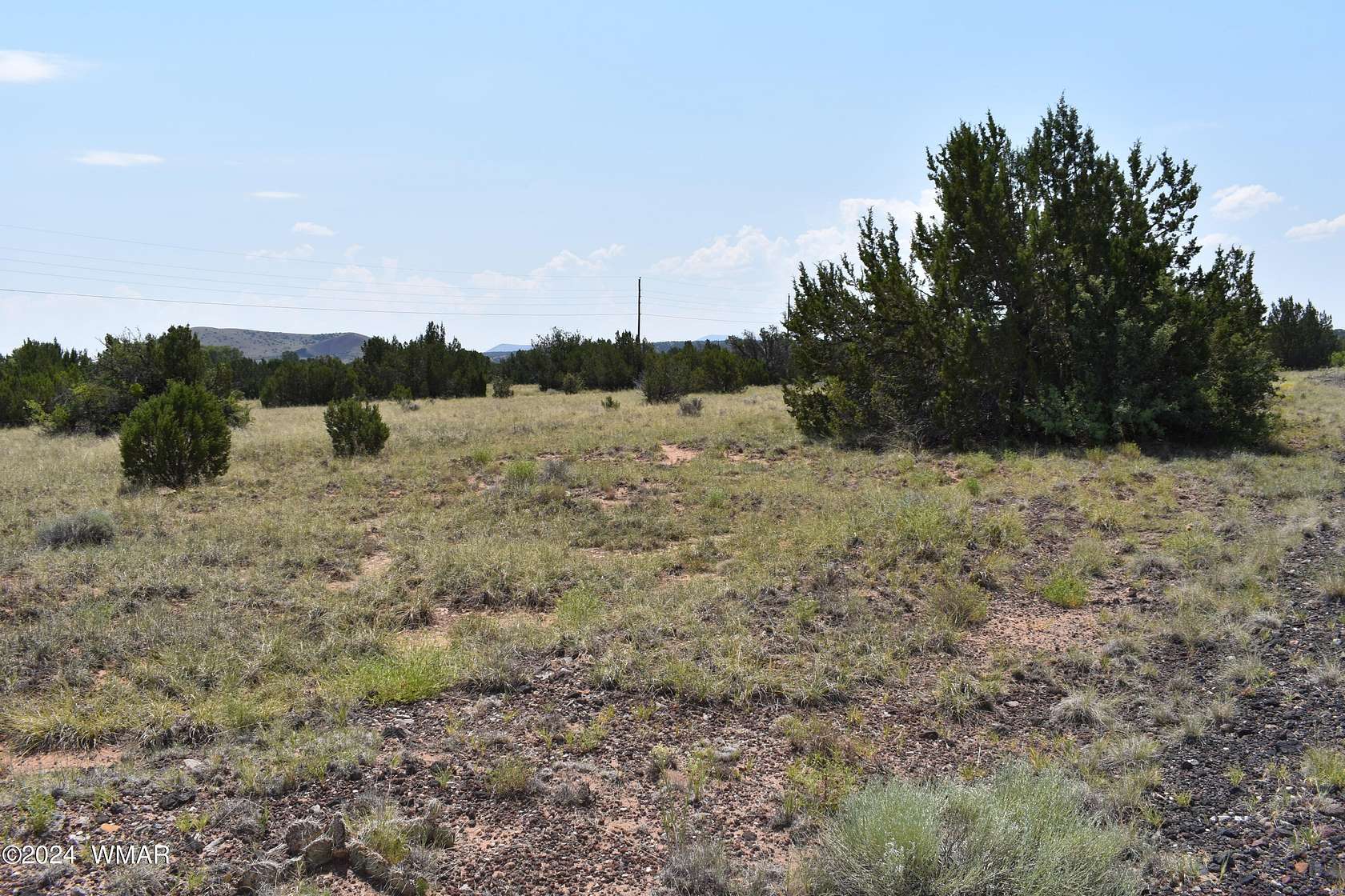0.3 Acres of Residential Land for Sale in Concho, Arizona