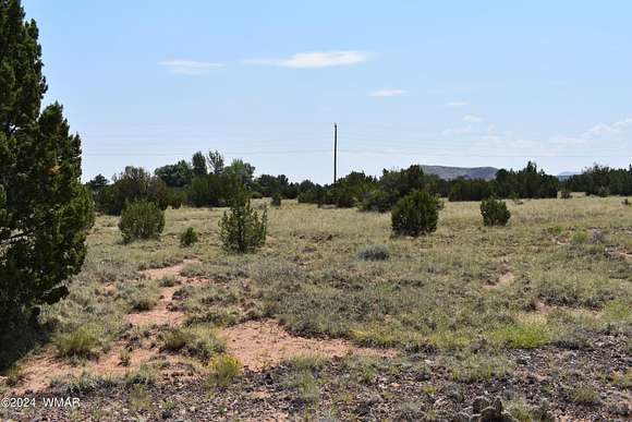 0.34 Acres of Residential Land for Sale in Concho, Arizona