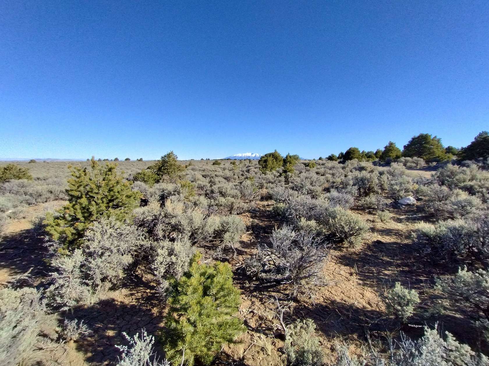 36.6 Acres of Recreational Land for Sale in San Pedro, Colorado
